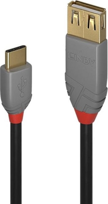 Изображение Lindy 0.15m USB 2.0 C to A AdapterCable, Anthra Line