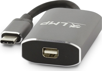 Attēls no Adapter USB LMP 16138 USB-C - DisplayPort Mini Szary  (LMP-USBC-M-DP-SG)