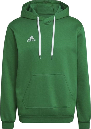Picture of Adidas adidas Entrada 22 Sweatshirt HI2141 Zielone 3XL