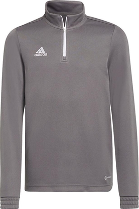 Picture of Adidas Bluza adidas ENTRADA 22 Training Top Y H57549 H57549 szary 164 cm