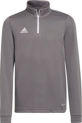 Attēls no Adidas Bluza adidas ENTRADA 22 Training Top Y H57549 H57549 szary 164 cm