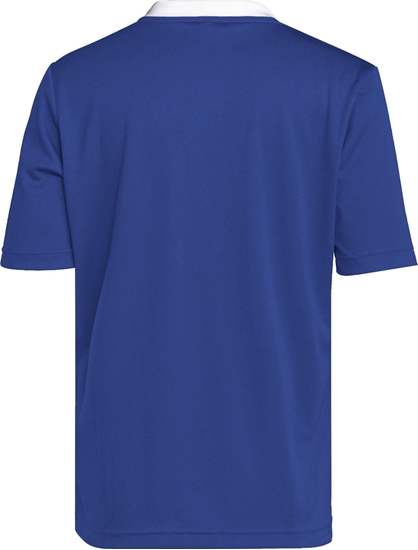 Picture of Adidas Koszulka adidas ENTRADA 22 JSY Y HG3948 HG3948 niebieski 116 cm