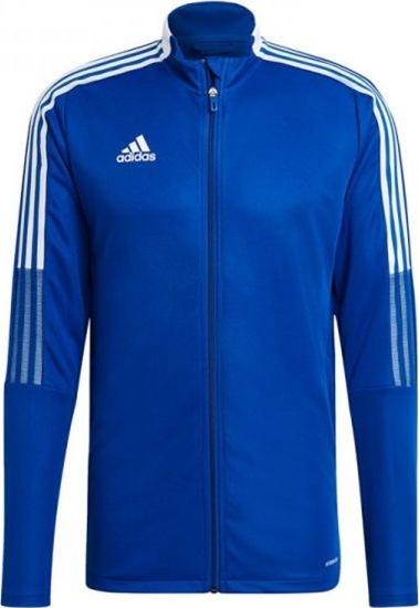 Picture of Adidas Niebieski 2XL
