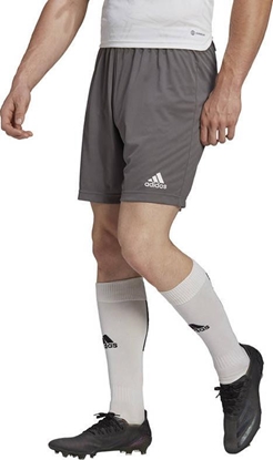 Picture of Adidas Spodenki adidas ENTRADA 22 Short H57505 H57505 szary S