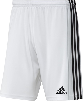 Picture of Adidas Spodenki adidas SQUADRA 21 Short GN5773 GN5773 biay XXL