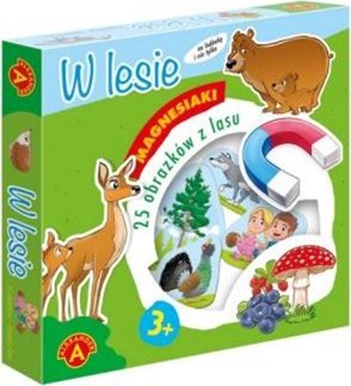 Picture of Alexander Magnesiaki - W lesie