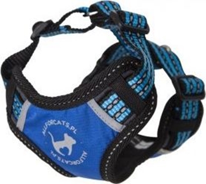 Изображение All For Dogs ALL FOR CATS SZELKI SPORTOWE XS NIEB.