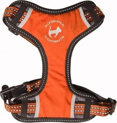 Изображение All For Dogs ALL FOR CATS SZELKI SPORTOWE XS POMARAŃ.