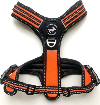 Изображение All For Dogs ALL FOR DOGS SZELKI 3x-SPORT POMARA. XS