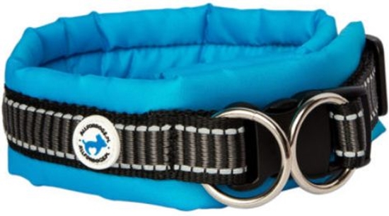 Изображение All For Dogs Obroa dla psa niebieska r. L (50-60cm)