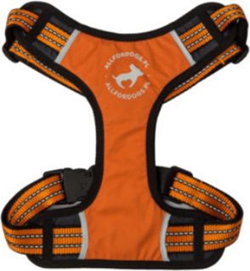 Изображение All For Dogs Szelki sportowe pomaraczowe r. L (70-125cm)
