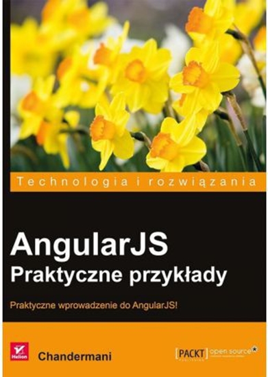 Picture of AngularJS. Praktyczne przykłady