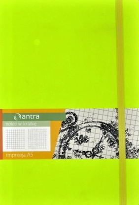 Picture of Antra Notes A5 Kratka Impresja (244296)