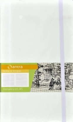 Picture of Antra Notes A5 Kropki Romantyzm (244279)
