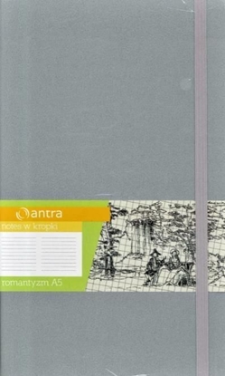 Picture of Antra Notes A5 Kropki Romantyzm (244281)