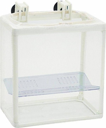 Picture of AQUA DELLA Aqua Della Kotnik Siatkowy 13x8x15cm