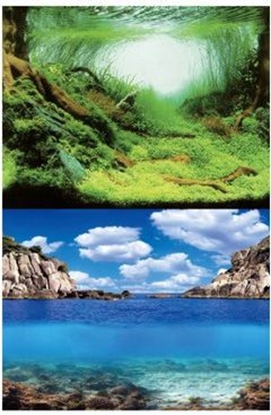 Picture of Aqua Nova TO L 100X50 PLANTS/OCEAN