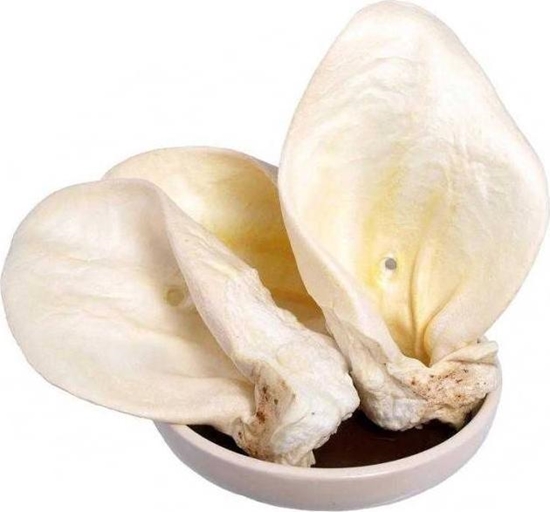 Picture of Arami ARAMI. USZY WOOWE BIAE (25szt.)