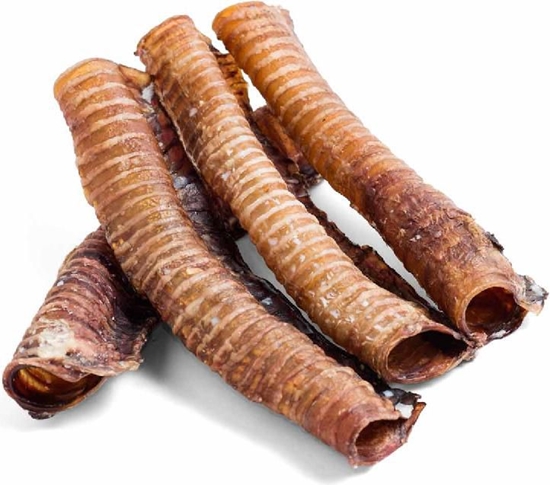 Picture of Arami TCHAWICA WOOWA CAA