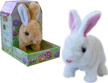 Attēls no Askato  Króliczek Zajczek Skacze Kica Wydaje Odgosy (378492)