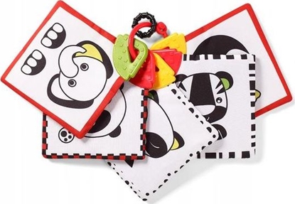 Picture of Babyono 781-KARTY EDUKACYJNE DREAM TEAM C-MORE COLLECTION