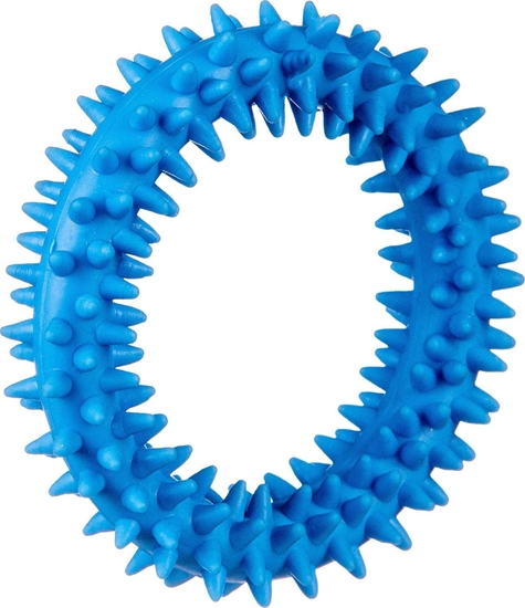 Picture of Barry King Barry King may ring XS dla szczenit niebieski, 9.5 cm