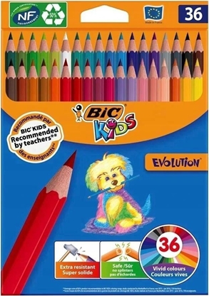 Изображение Bic Kredki oówkowe Kids Evolution ECOlutions 36szt