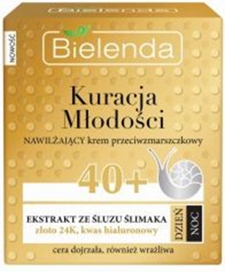 Picture of Bielenda Krem do twarzy przeciwzmarszczkowy z ekstraktem ze luzu limaka 40+ na dzie/noc 50ml