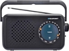Изображение Radio Blaupunkt PR9BK