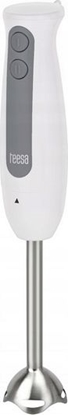 Picture of Blender Teesa TSA3506