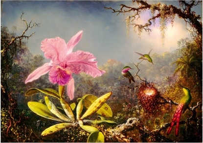 Picture of Bluebird Puzzle Puzzle 1000 Orchidea Cattleya i trzy kolibry