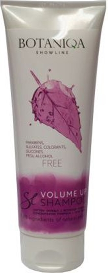 Picture of Botaniqa SL SHAMPOO VOLUME UP 250ml ZWIKSZAJCY OBJTO SZATY