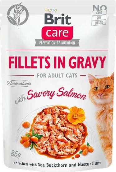 Picture of Brit Brit Care Cat Pouch Salmon - filety z ososia w sosie, mokra karma dla kota, saszetka 85g uniwersalny
