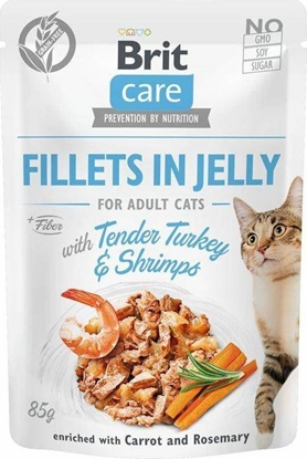 Picture of Brit CARE KOT saszetka FJ TENDER TURKEY& SHRIMPS /24 85g