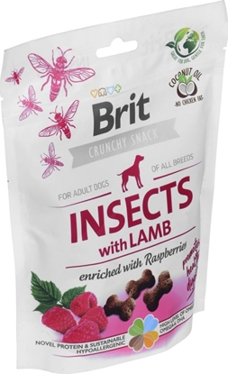 Attēls no Brit Przysmak Brit Care Dog Insect&Lamb 200g