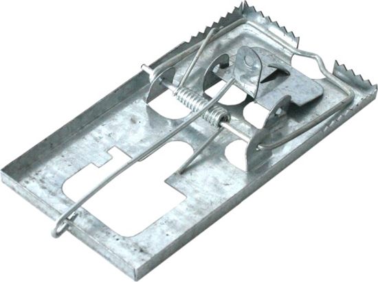 Picture of Bros apka na szczury metalowa