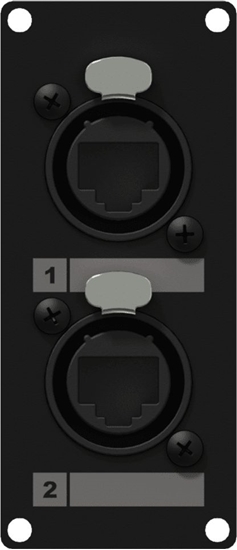 Picture of Caymon Modu CASY ze zczami 2x NE8FAH Ethercon (CASY168/B)