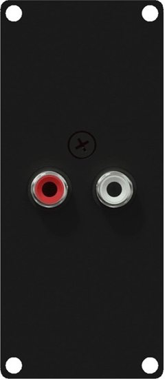 Изображение Caymon Modu CASY ze zczami 2x RCA mskim (CASY132/B)