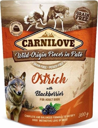 Изображение Carnilove Carnilove Dog Pouch Ostrich Blackberries - bezzboowa mokra karma dla psa, stru z jagodami, saszetka 300g uniwersalny