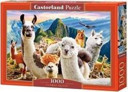 Изображение Castorland Puzzle 1000 Lamy CASTOR