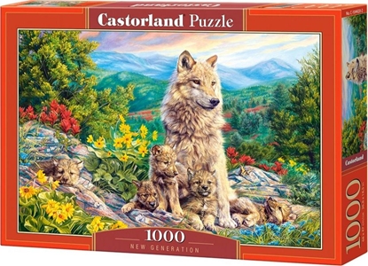 Изображение Castorland Puzzle 1000 New Generation CASTOR