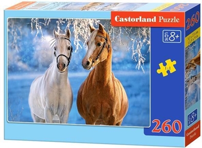 Изображение Castorland Puzzle Zimowe konie (220325)