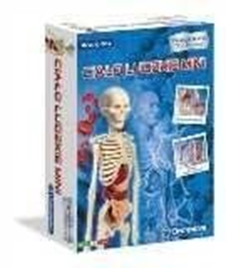 Picture of Clementoni Ciao ludzkie mini