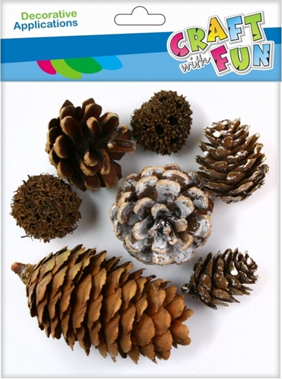 Picture of Craft with Fun CF OZDOBA DEK NATURA SZYSZKA 7SZT MIX PBH 12/288