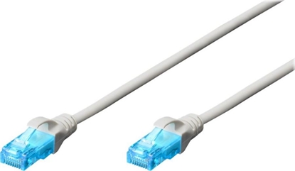 Изображение Patch cord RJ45-RJ45, kat.5e, U/UTP, AWG 26/7, PVC, 0.25m, biały