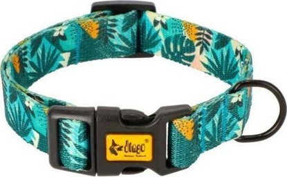 Picture of Dingo Dingo Obroa Regulowana Monstera 3/60cm