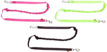 Picture of Dingo smycz z tamy z amortyzatorem i 2 karabinkami d. 170 cm - 14698