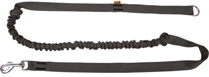 Picture of Dingo smycz z tamy z amortyzatorem i rczk d. 170 cm - 14696