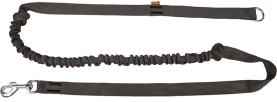 Picture of Dingo smycz z tamy z amortyzatorem i rczk d. 170 cm - 14696