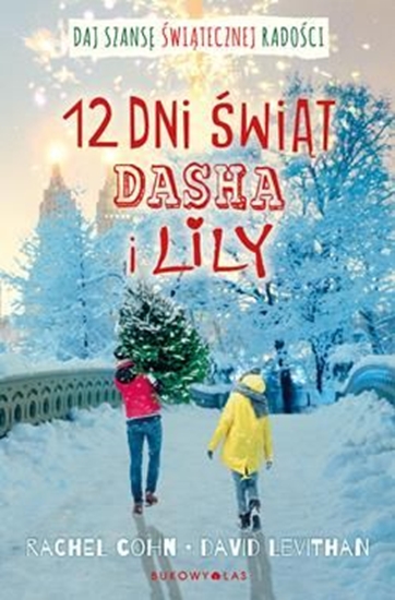 Picture of Dwanaście dni świąt Dasha i Lily